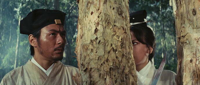 vlcsnap-2022-02-28-22h46m44s541