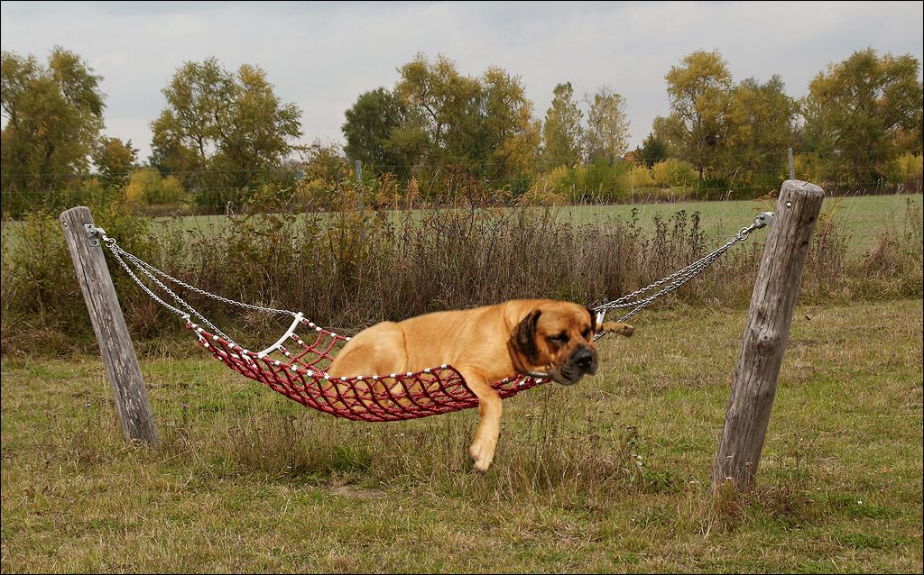 55875435_546990636127409_7111736707052994560_n