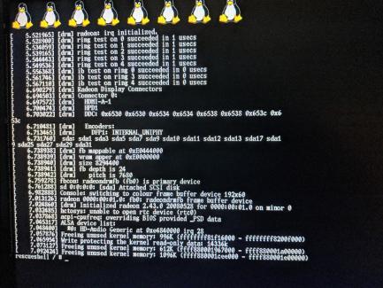 ps4 linux